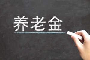 四大險種的作用